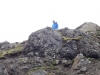 Schottland - 2015-06-07_13-39-55