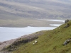 Schottland - 2015-06-07_13-42-06