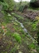 Schottland - 2015-06-08_12-00-23