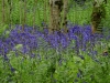 Schottland - 2015-06-08_12-03-25