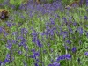Schottland - 2015-06-08_12-03-50